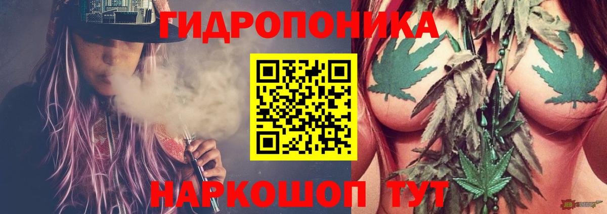 Конопля конопля Пушкино